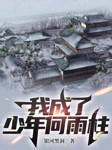 少年何雨柱的