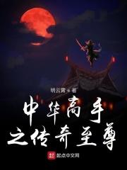中华高手在异世全集