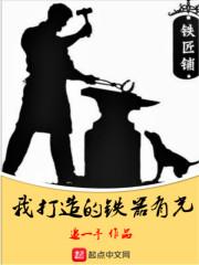 我打的铁器有光