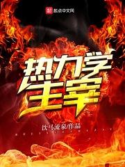 热力学主宰txt精校版