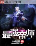 大乾最强帝师