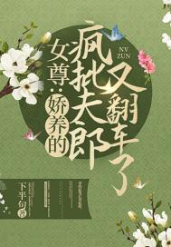娇宠夫郎女尊
