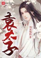 袁太子 起点