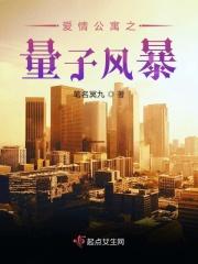 爱情公寓子乔风流全文