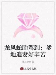 龙凤胎宝贝找爹地