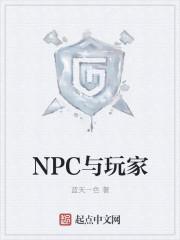 玩家和npc的二三事
