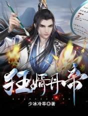 狂婿