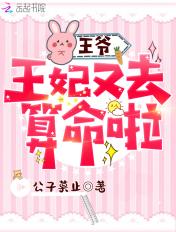 免费阅读王爷王妃又去打劫了
