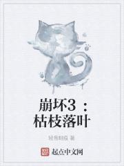 崩坏三崩落是什么意思