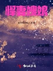 悍妻角色介绍