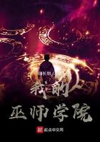 我的巫师大人