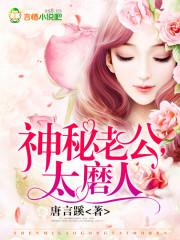 神秘老公太磨人免费版