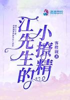 江先生的小作精宝书网