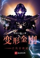 变形金刚之风云再起黑寡妇
