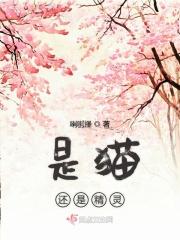 猫是妖精