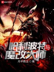 哈利波特游戏改装扮