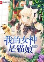 我的女神是只猫评价