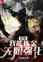 灾变我能炼金无限强化