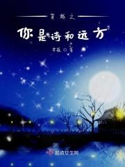 诗和远方的人