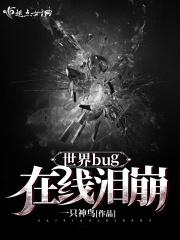 世界bug什么意思