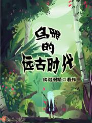 乌雅简介