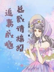 总裁追妻计划