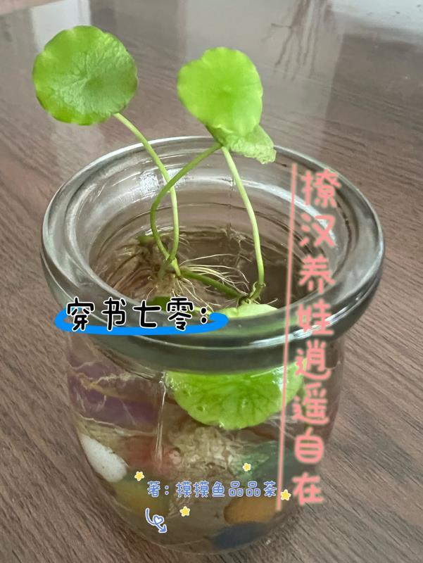 穿书七零撩汉养娃逍遥自在shuhaige