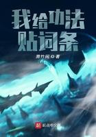 我的功法有词条