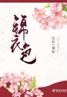 锦衣色江心一羽全文免费阅读