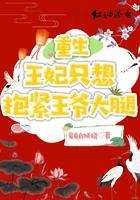 重生王妃宠不停