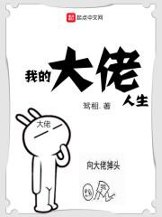 我的大佬生涯