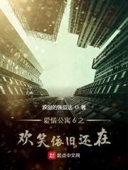 爱情公寓get不到笑点