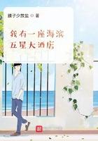 我有一座海滨五星大酒店免费