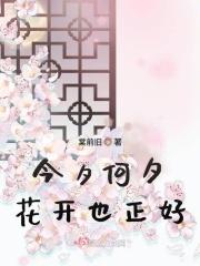 今夕何夕片花