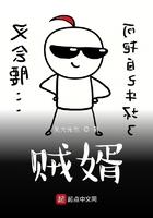 贼婿第二部