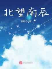 南望北归什么意思