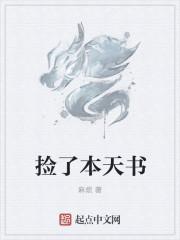 捡了本天书TXT链接