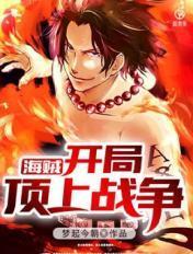 海贼开局顶上战争梦起今朝 著