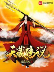 藏族文化天藏