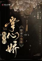 相爷娇宠小医娘
