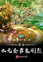 西游水元圣君猪刚烈