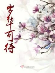 岁华可待出处