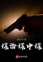 电视连续剧谍海追踪