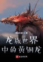 龙族青铜副本攻略