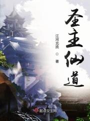 圣主境界