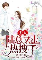 夫人又又又上热搜了免费