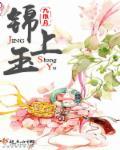 锦上玉食后半生是什么生肖