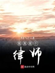 我真是律师免费阅读全文最新章节
