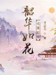 韶华如流水