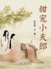 甜宠小夫郎洋柿子免费阅读